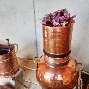 JOURNEE Les HYDROLATS - Cueillette et distillation