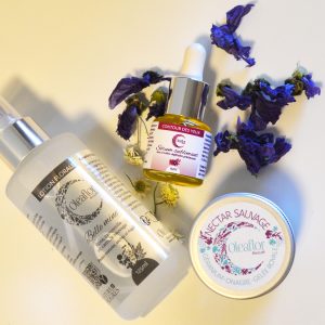 ATELIER Cosmétiques naturels - LES PLANTES DE LA PEAU, FABRIQUEZ VOTRE ROUTINE BEAUTE