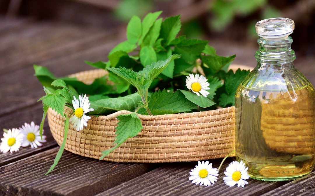 Comment composer une trousse à pharmacie naturelle simple ?